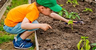 Children enjoying summer camp activities in a welcoming environment